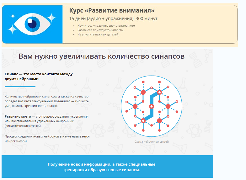 Развитие внимания - Викиум (2016)_0.png